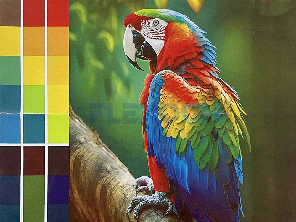 Printing Sample-2 Printing Sample-2